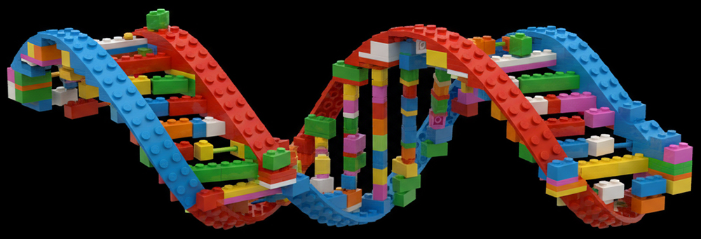 So sieht eine von Coco Flanell gebaute DNA aus.